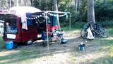 Volkswagen T4 75kW, 1996, Camper / 7-Sitzer, Motor überholt - Volkswagen T4: Motor