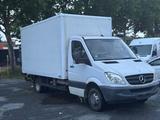 Mercedes-Benz Sprinter 515CDI Koffer Hebebühne 3.5T  - Mercedes-Benz Sprinter: 515