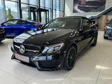Mercedes-Benz C 43 AMG Cabrio 4M Night Edition|Distr.|Airscarf - Mercedes-Benz C 43 AMG: Cabrio