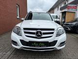 Mercedes-Benz GLK 350 4Matic "Panorama"Navi"SiHz"AHK - weiße Mercedes-Benz GLK 350