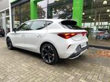 Cupra Leon 2.0 TDI DSG Navi Edge Intelligent-Drive SSL - gebrauchte Limousinen