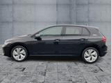 Volkswagen Golf VIII 1.5 TSI GOAL / / RFK / NAVI - Volkswagen Golf Neuwagen: R