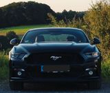 Ford Mustang Coupe V8 GT EU-Modell  - Ford Mustang in Köln