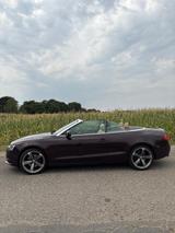 Audi A5 3.0 TDI S tronic  Mechatronic.+ Kupplung. neu