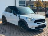 MINI Countryman Cooper S Chili+XENON+TEMPOMAT+WINTER - MINI Cooper S: Kleinwagen, Countryman