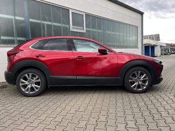 Bild 3 Mazda CX-30 2.0 M-Hybrid Selection - Navi - 360 Grad -