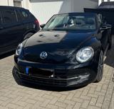 Volkswagen Beetle 1.2 TSI BMT ALLSTAR Cabriolet ALLSTAR - VW Beetle von privat