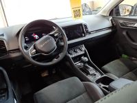 Skoda Karoq - Vorschau Bild 4