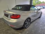 BMW 228i Cabrio Luxury Line - BMW 228 aus 2016