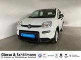 Fiat Panda Pandina Cross 1.0 Hybrid KLIMA+EPH - Fiat Panda Jahreswagen