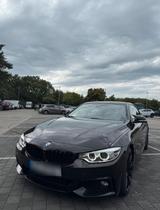 BMW 420d Coupe Motorschaden - BMW: Motorschade