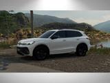 Volkswagen Tiguan R-Line 1,5 l eHybrid  ( 177 PS) /  (115 P