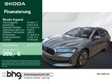Skoda SUPERB COMBI Selection 2,0 TDI - Skoda Superb Jahreswagen mit Diesel-Antrieb: Kombi