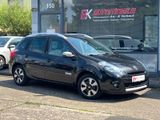 Renault Clio Grandtour Night & Day Navi Panorama PDC AHK - Renault Clio aus 2010