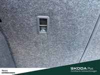 Skoda Kamiq - Vorschau Bild 12