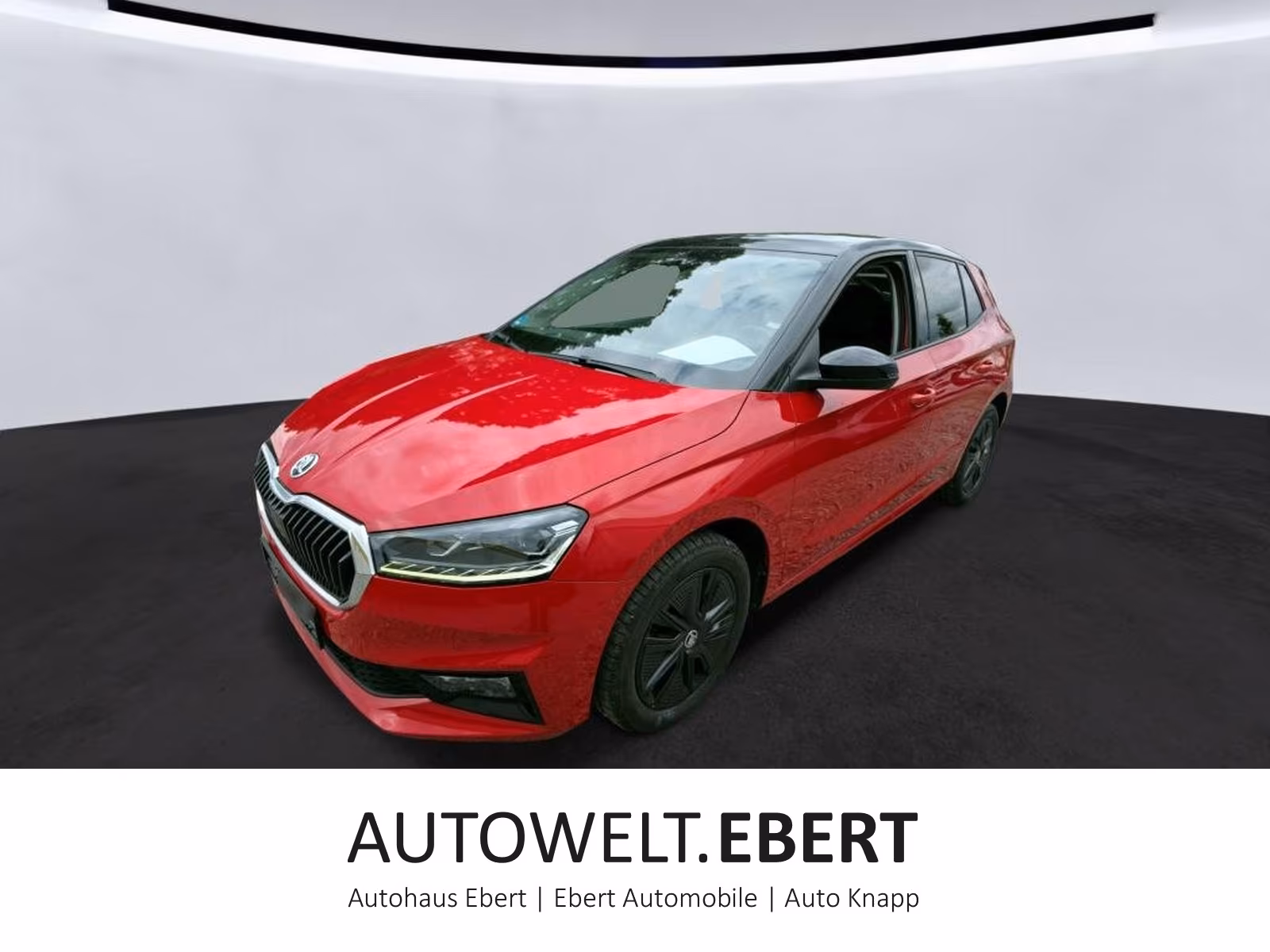 Skoda Fabia 1.0 TSI DSG Ambition/LED/AHK/KAMERA/SMART/