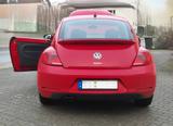 Volkswagen Beetle 1.4 TSI BMT Design Design - Volkswagen Beetle in Essen
