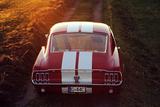 Ford Mustang Fastback 390 GT Big Block  - Ford Mustang aus 1967: Fastback