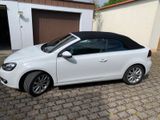 Volkswagen Sehr schöner Golf 1.6 TDI  Cabriolet - Volkswagen Golf mit Diesel-Antrieb: Cabrio, 1.6
