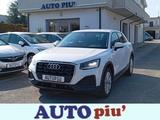 Audi Q2 2.0 TDI 115 CV - Garanzia - Audi Q2 GA mit Diesel-Antrieb