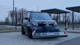 Smart mit Schneepflug, Salzstreuer, Anhängerkupplung - Smart ForTwo in Halle