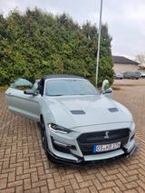 Ford Mustang 2.3 EcoBoost Auto - - Ford Mustang in Osnabrück