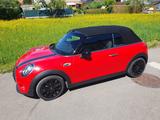 MINI Cooper D Cabrio Cooper - MINI Cooper D Cabrio von privat
