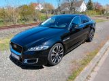 Jaguar XJ50 3.0 V6 Diesel XJ50 - Jaguar XJ aus 2019