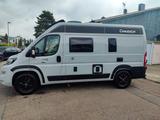 Chausson Fiat Ducato - Chausson Diesel Kastenwagen