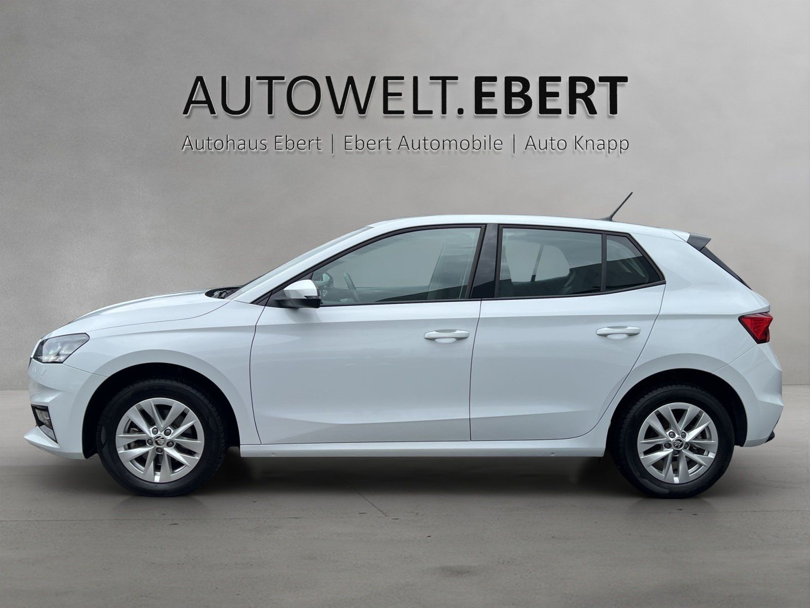 Fahrzeugabbildung SKODA Fabia 1.0 TSI Selection DSG/KAMERA/ACC/SHZ/