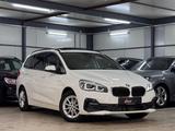 BMW 216 Gran Tourer 216d Advantage PANO*7SITZ*BSNSS* - BMW 216 Gran Tourer aus 2019