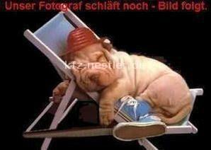 Volkswagen Touareg R eHybrid Pano/AHK/HUD/21"/ACC/Matt