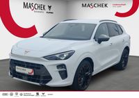Cupra Terramar - Vorschau Bild 1