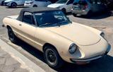 Alfa Romeo Spider 2000 - gebrauchte Alfa Romeo Spider aus dem Jahr 1978