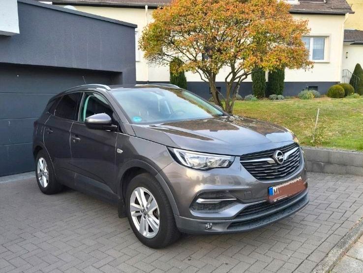 Image of Opel Other