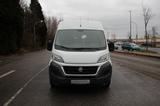 Fiat Ducato Grossr.-Kasten 35 130 L4H2 - Fiat Ducato in Essen