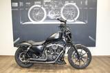 Harley-Davidson XL 883 N Iron Thorcat , LED ,Lenker,viel Zubehör - CHOPPER LENKER