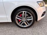 Audi SQ5 3.0 TDI quattro *BICOLOR* - Audi SQ5: TDI