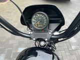 Harley-Davidson Sportster Iron XL1200NS - HARLEY-DAVIDSON IRON