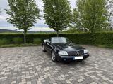 Mercedes-Benz SL 280 Liebhaberfahrzeug im Sammlerzustand - Mercedes-Benz SL 280 von privat