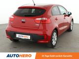 Kia Rio 1.2 Dream Team*PDC*SHZ*ALU*KLIMA* - Kia Rio in Köln