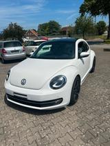 Volkswagen Beetle LIMITED / Leder / Pano / BBS uvm - Volkswagen Beetle: Sportwagen