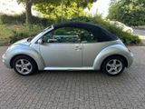 Volkswagen VW Beetle 1.6  Baujahr 03/2003 - Volkswagen New Beetle in Köln