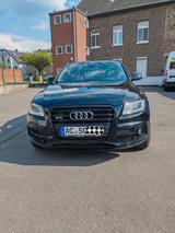 Audi SQ5 3.0TDI tiptronic quattro  - Audi SQ5 in Aachen