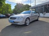 Mercedes-Benz CLK 500 CLK Cabrio CLK 500 - Mercedes-Benz aus 2003: Cabrio