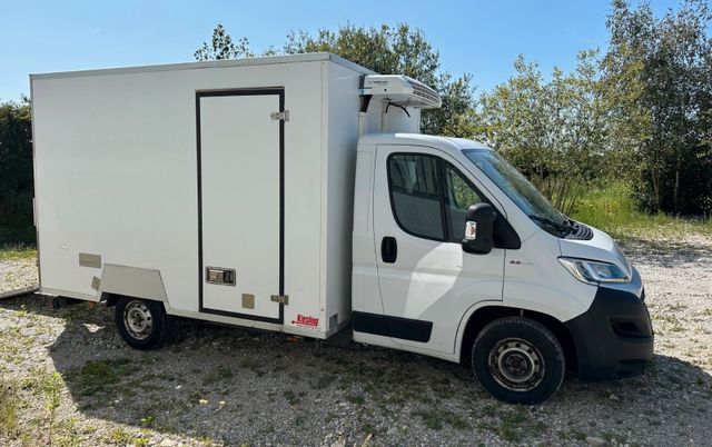 Fiat Ducato Rolli Runner ThermoKing V300