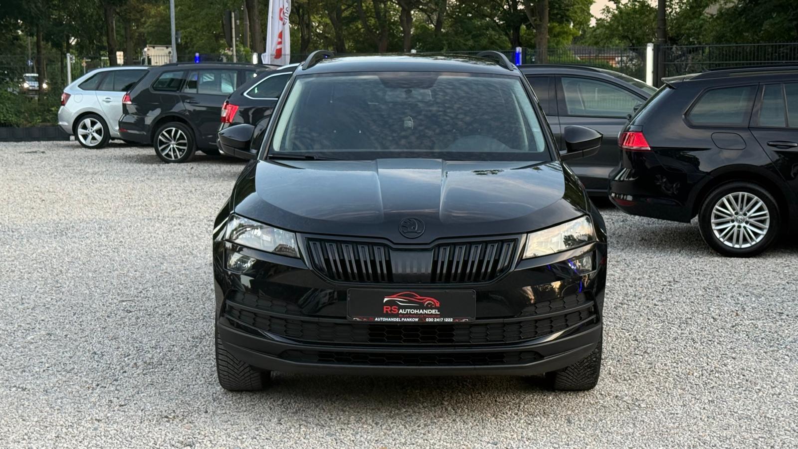 Skoda Karoq Active/Temp./Sitzheizung