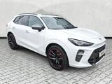 Cupra Terramar VZ 2.0 TSI DSG 4Drive AHK Leder Standh. - Wasserstoff: Pickup