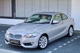 BMW 220 Baureihe 2 Coupe 220 i/MODERN/PDC/NAVI/LEDER - BMW 220 in Mainz