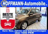 Skoda Fabia Ambition App-Connect,PDC,Sitzheizung